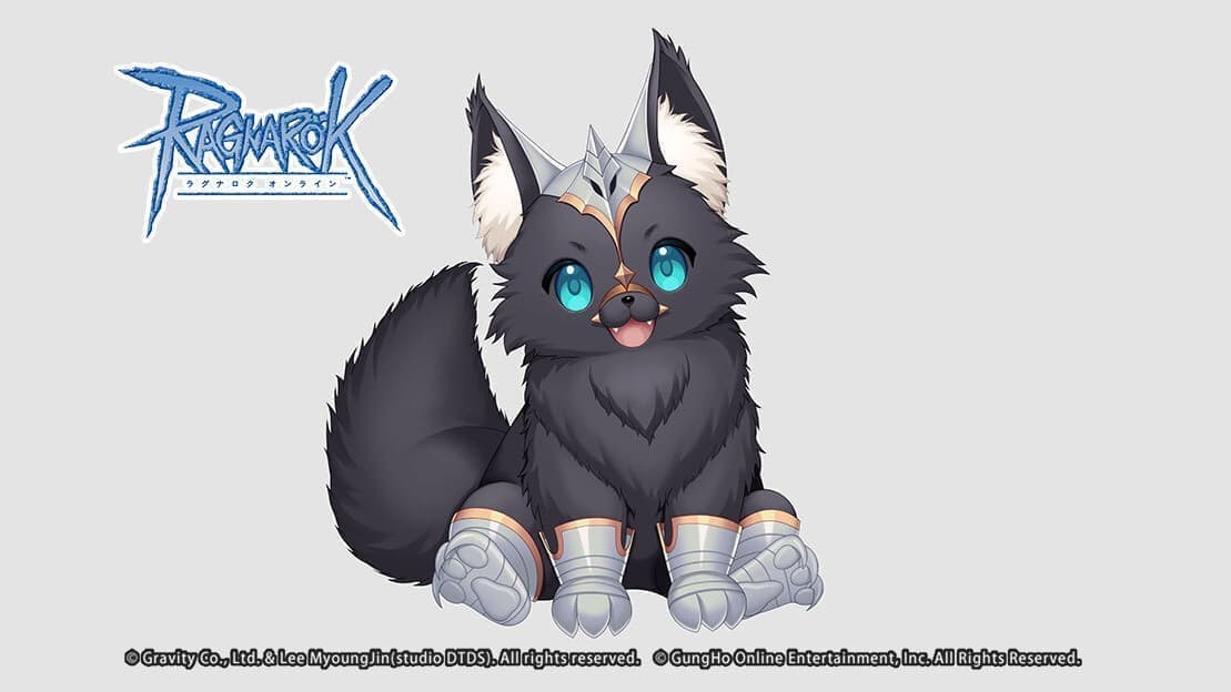 毎回少し良くなっている